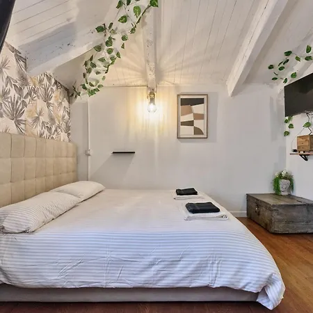 Apartment Centro, Mansarda Design Con Travi A Vista *