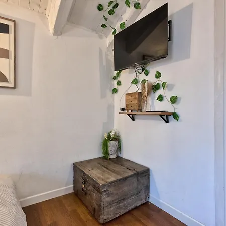Centro, Mansarda Design Con Travi A Vista Apartment Treviso